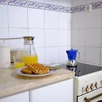 New! Cozy&central - Blue Bica Reis
